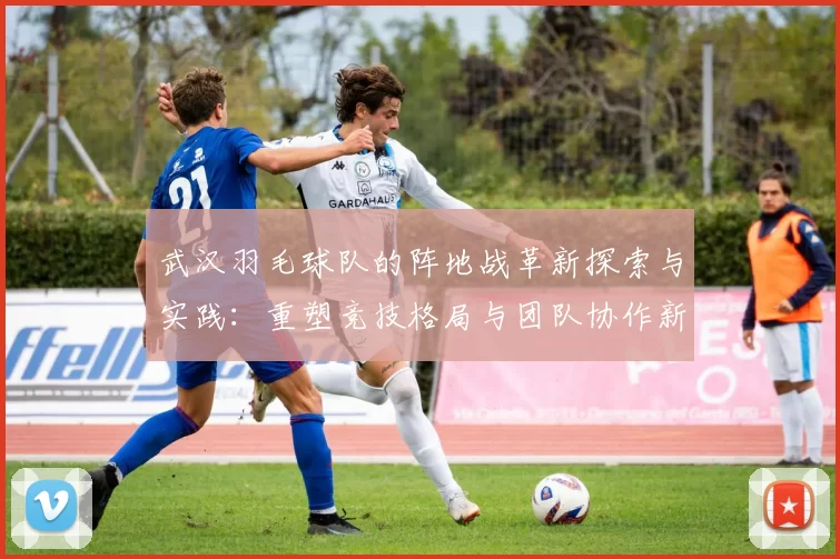 武汉羽毛球队的阵地战革新探索与实践：重塑竞技格局与团队协作新模式