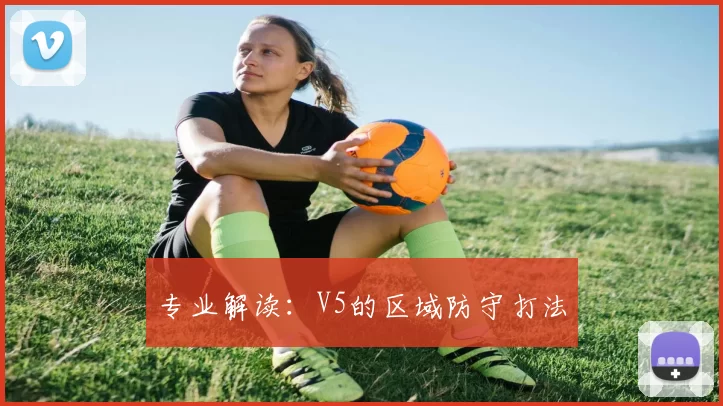 专业解读：V5的区域防守打法