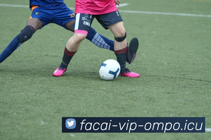 乐鱼体育APP 高清赛事图